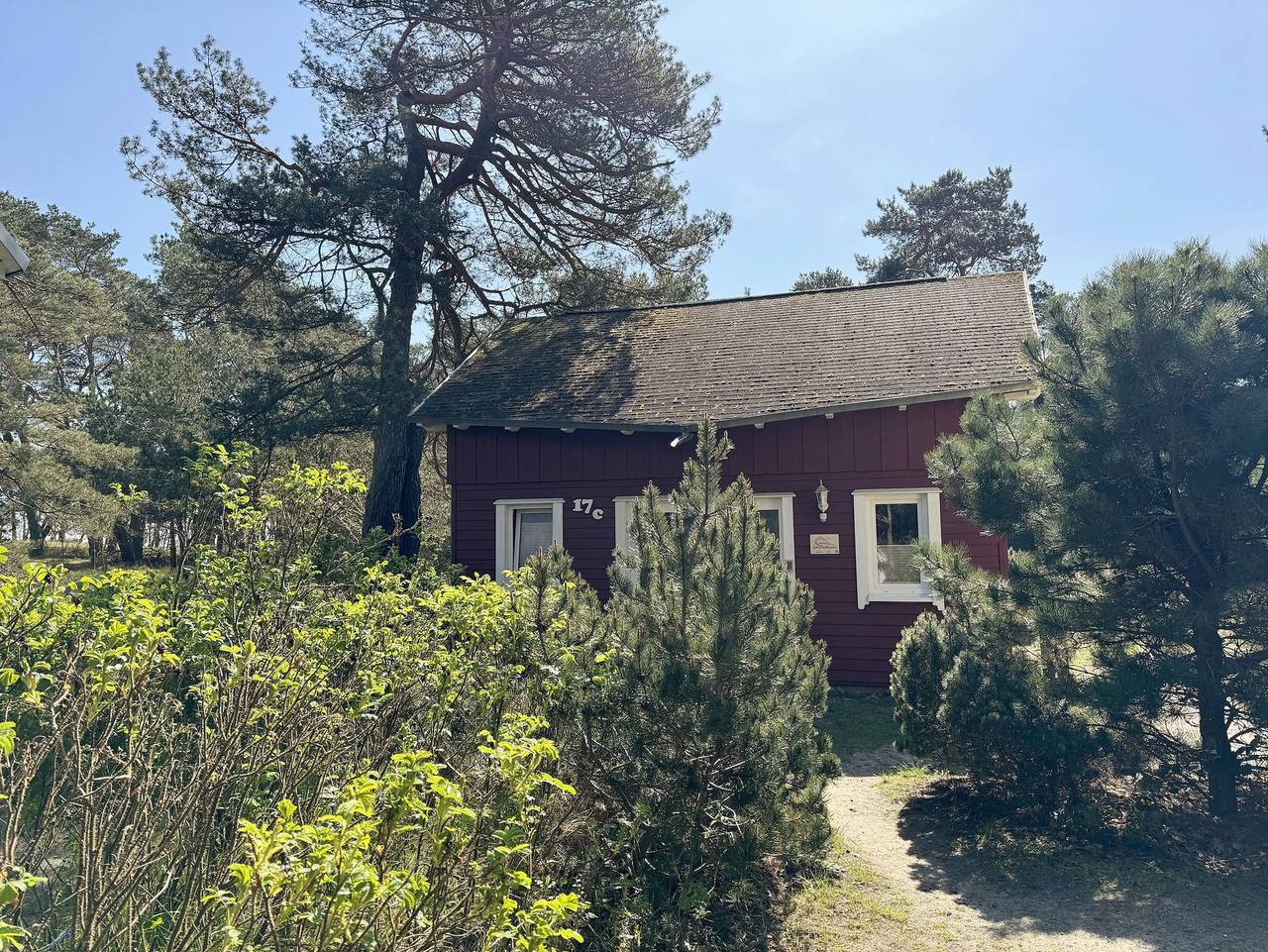 W: Strandhaus Dünenweg 17c mit Terrasse/Kamin in Baabe, Rügen