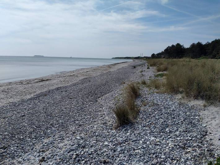 Location de vacances pour 36 personnes, avec piscine et terrasse, animaux acceptés à Ebeltoft - 4
