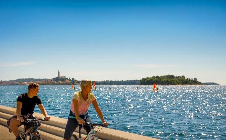 Ferienpark für 5 Personen, mit Kinderpool und Pool sowie Garten und Ausblick in Rovinj - 4