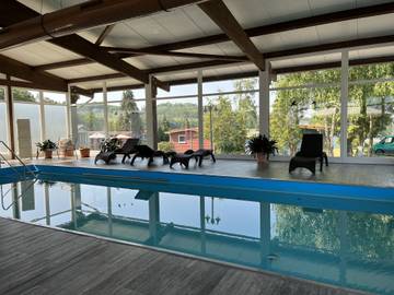 Ferienhaus für 3 Personen in Bad Emstal, Hessen, Bild 4