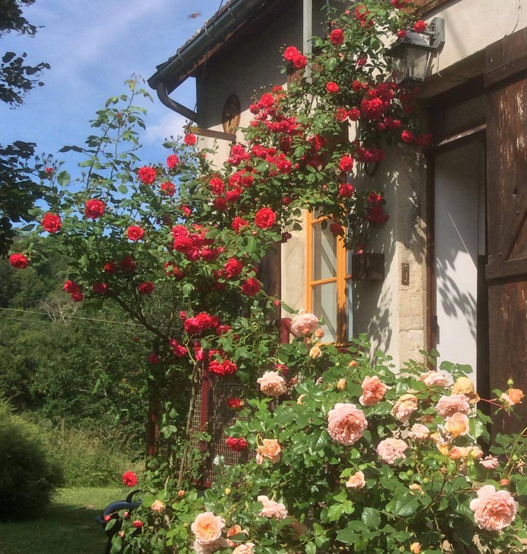 Le Tilleul in Chissey-en-Morvan, Région d'Autun