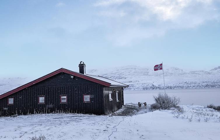 Ferienhaus für 6 Personen, mit Terrasse, mit Haustier - 1
