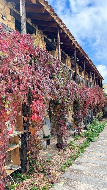 Apartamento de vacaciones para 7 personas, con piscina además de vistas y jardín, Familias con niños en Provincia de Guadalajara