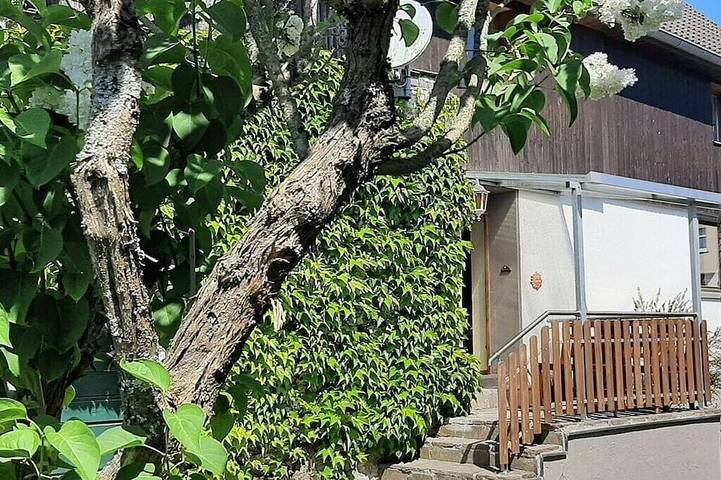 Ferienhaus für 4 Personen