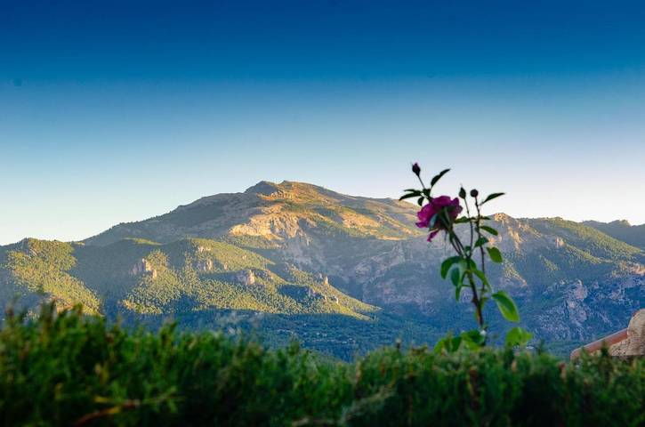 Casa rural para 6 personas, con piscina además de jardín y vistas, Familias con niños en Sierras del Segura - 3