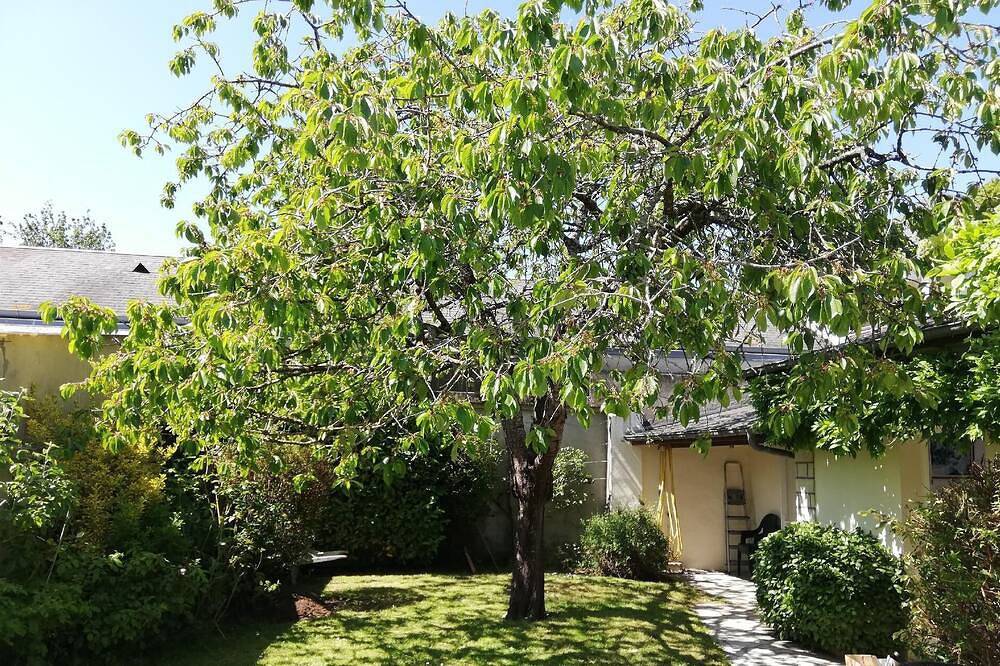 Holiday house Isigny sur Mer for 1 - 6 persons with 3 bedrooms - Holiday house in Saint-Benoît-de-l'Aure, Bayeux region