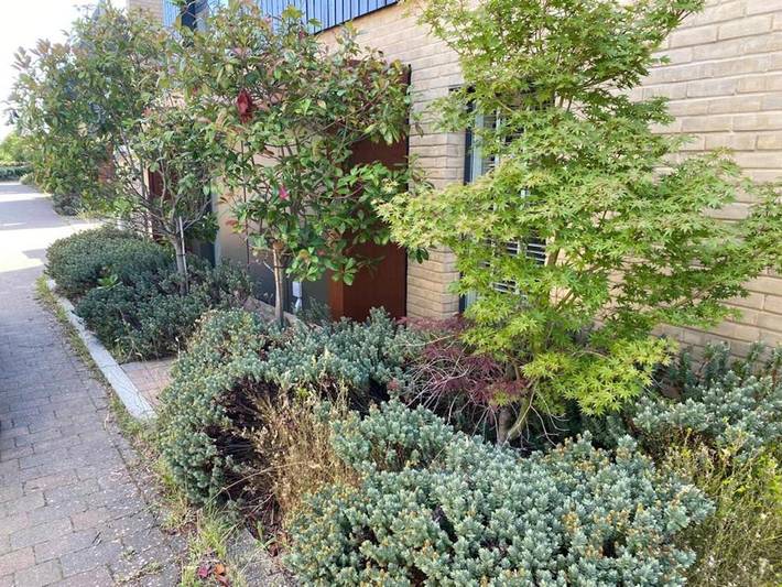 Apartamento para 6 personas, con jardín, Se admiten mascotas en Cambridge