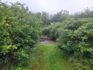 Ferienhaus für 6 Personen in Hemmet, Dänemark an der Nordsee, Bild 4
