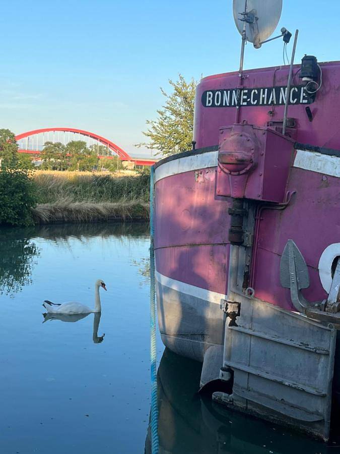 Gîte pour 7 personnes, avec terrasse et vue, animaux acceptés à Eckwersheim - 3