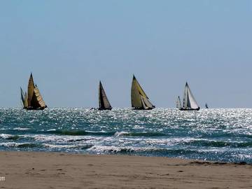 Villa per 7 Persone in Marina di Pietrasanta, Pietrasanta, Foto 1