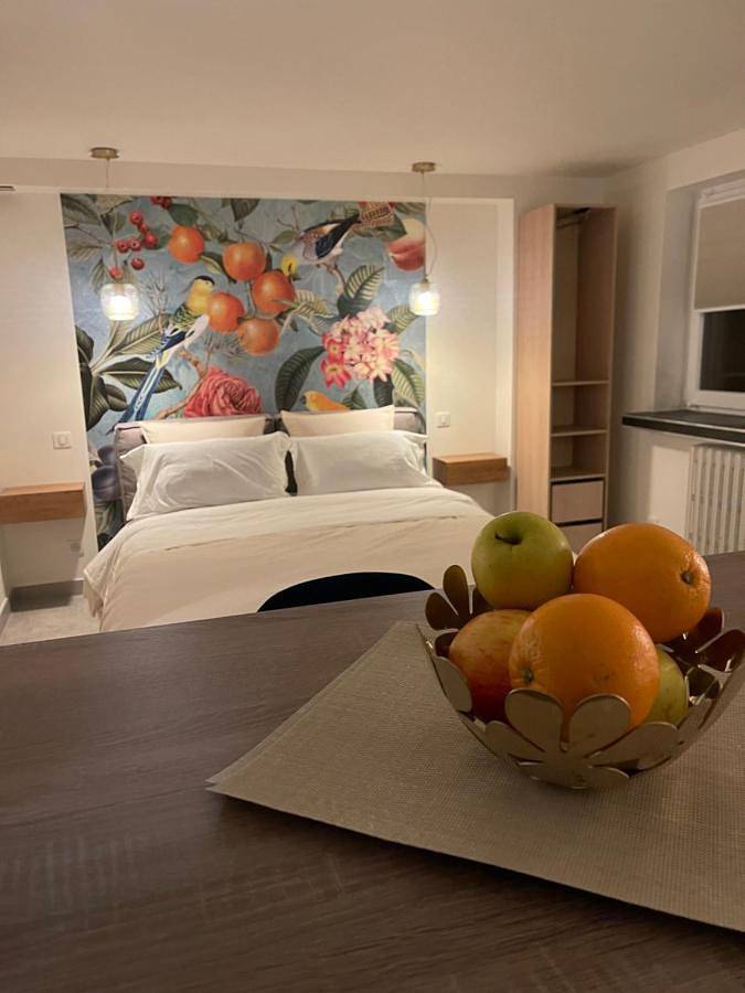 Chambre d’hôte pour 3 personnes, avec jardin, animaux acceptés à Strasbourg - 2