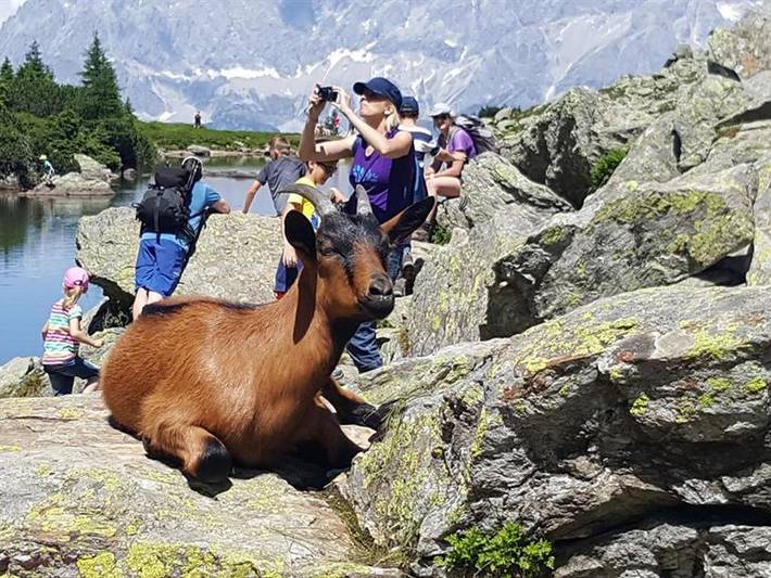 Ferienwohnung für 5 Personen, mit Balkon in Schladming - 3