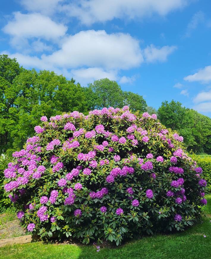 Ferienwohnung für 2 Personen, mit Garten in Zetel - 4