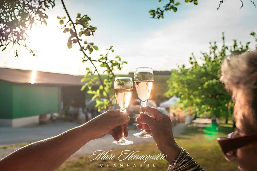 Chambres chez le Vigneron - Pinot Meunier in Avirey-Lingey, Aube