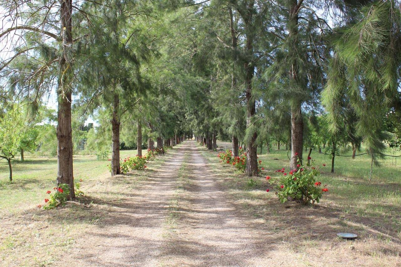 Tenuta Santa Rosa in Sannicola, Golfo di Taranto