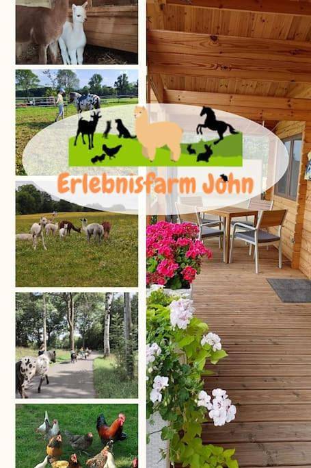 Ferienwohnung für 4 Personen, mit Terrasse und Garten sowie Ausblick in Sayda