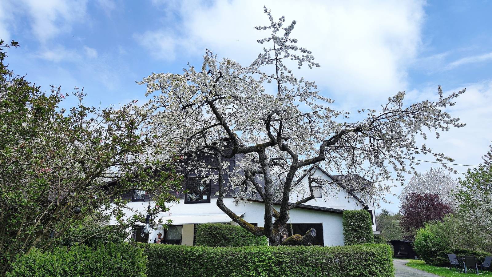 Ganze Ferienwohnung, Sauerland-Alm/Winterberg in Hallenberg, Hochsauerlandkreis