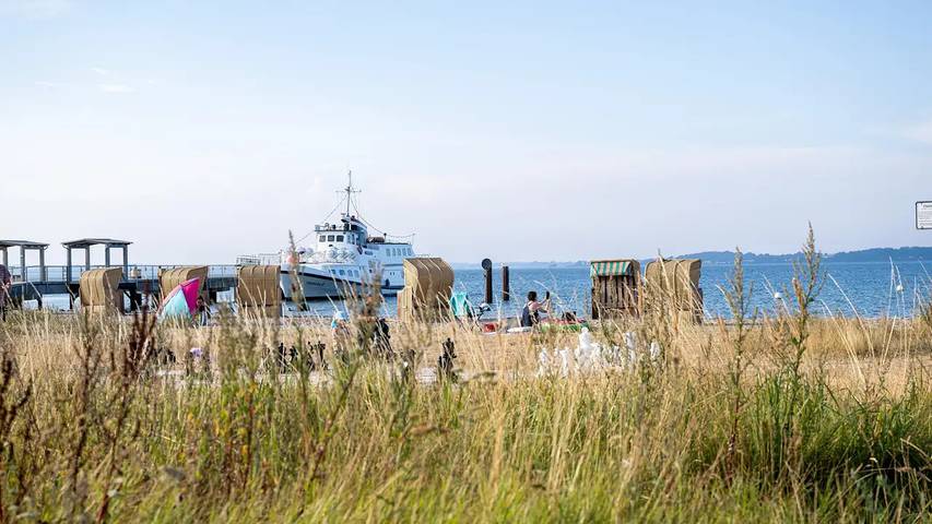 Ferienwohnung für 4 Personen, mit Garten in Dollerup - 4