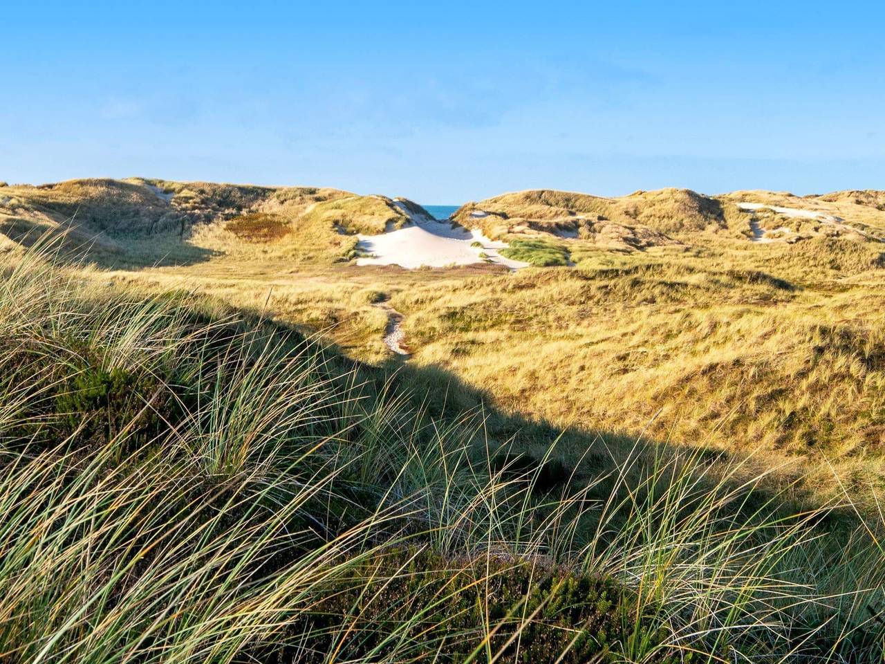 Luxurioses Kustenrefugium in Ringkøbing, Holmsland Klit