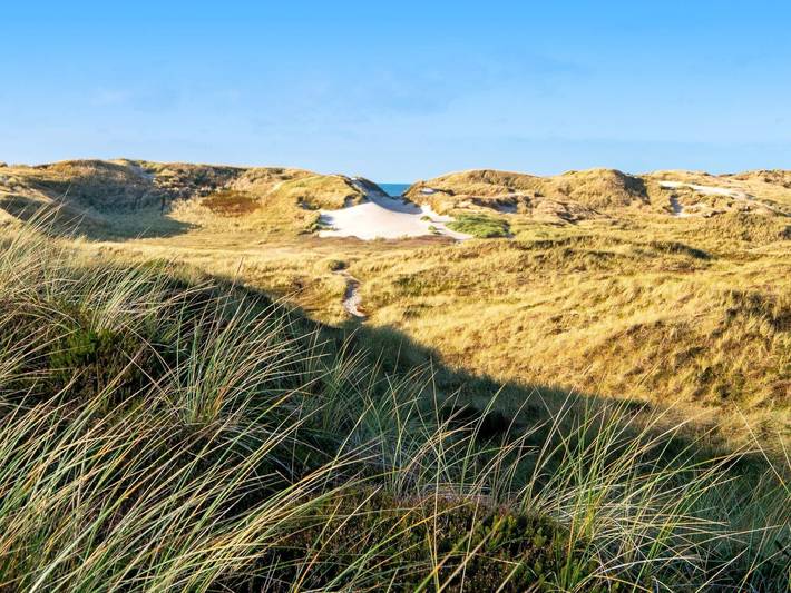 Ferienhaus für 6 Personen, mit Whirlpool und Terrasse sowie Sauna in Houvig - 4