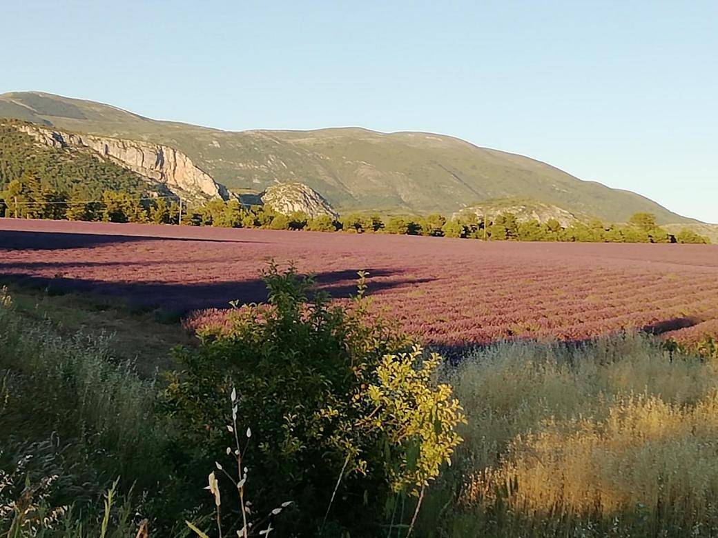 Les Hôtes de Marie in Moustiers-Sainte-Marie, Alpes-de-Haute-Provence