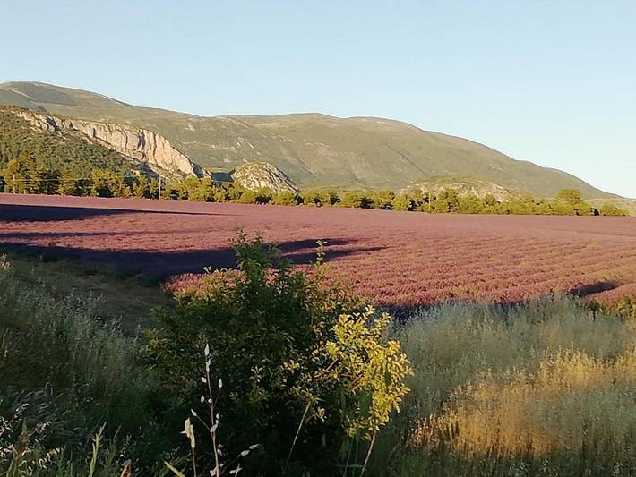 Chambre d’hôte pour 2 personnes, avec vue et jardin, animaux acceptés à Moustiers-Sainte-Marie - 3