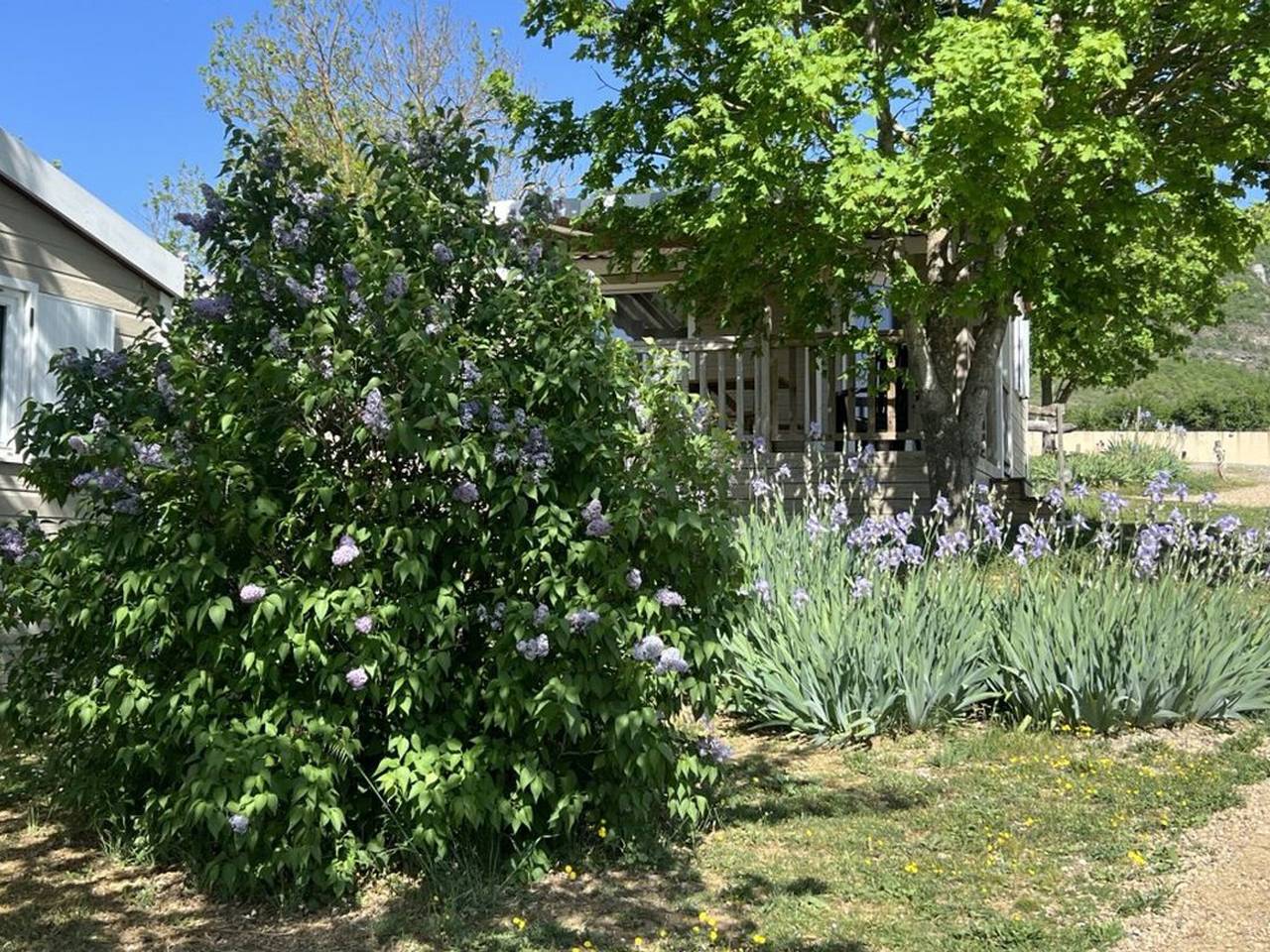 Chalet animaux Ok - 5 pers. in Saint-Georges-de-Luzençon, Parc naturel régional des Grands Causses
