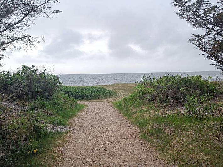 8 Personen Ferienhaus in Tarm in Skaven Strand, Ringkøbing Fjord