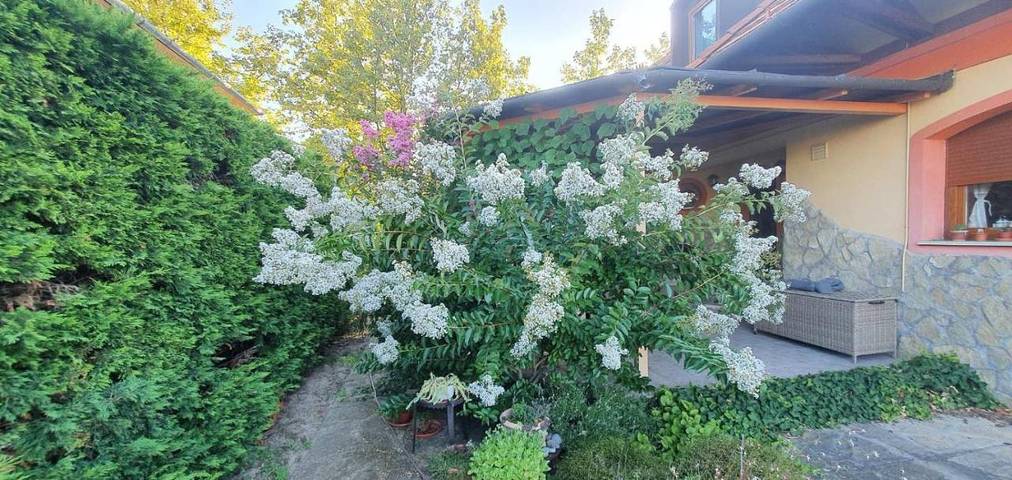 Villa für 10 Personen, mit Seeblick und Ausblick sowie Garten, mit Haustier am Balaton - 4