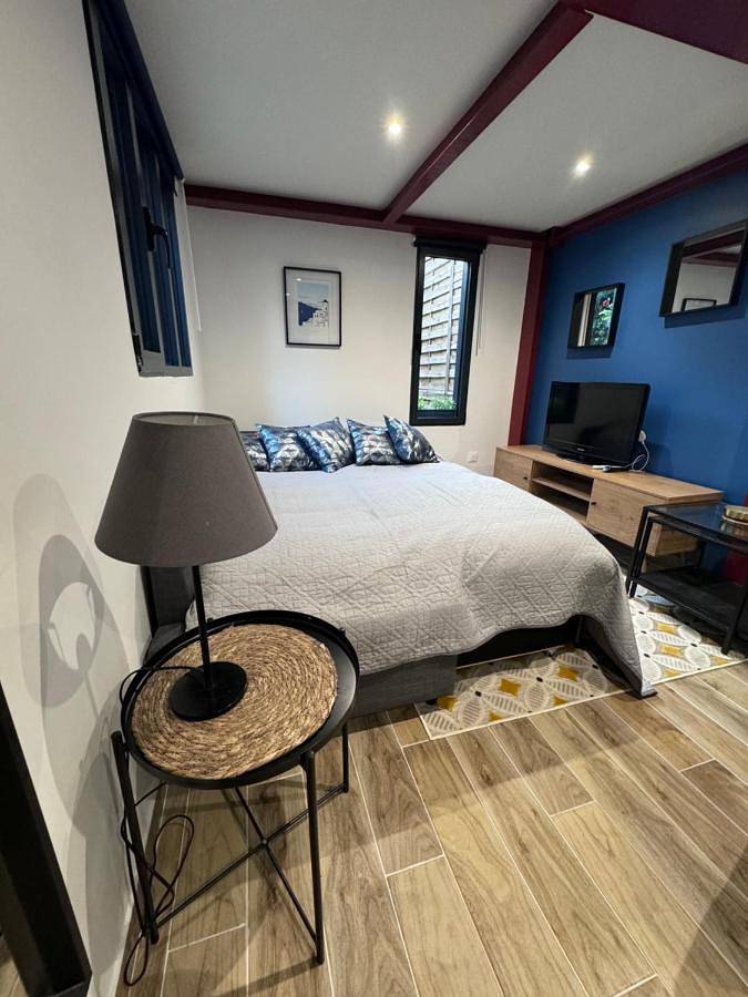 Gîte pour 4 personnes, avec jardin à Vitry-sur-Seine - 4