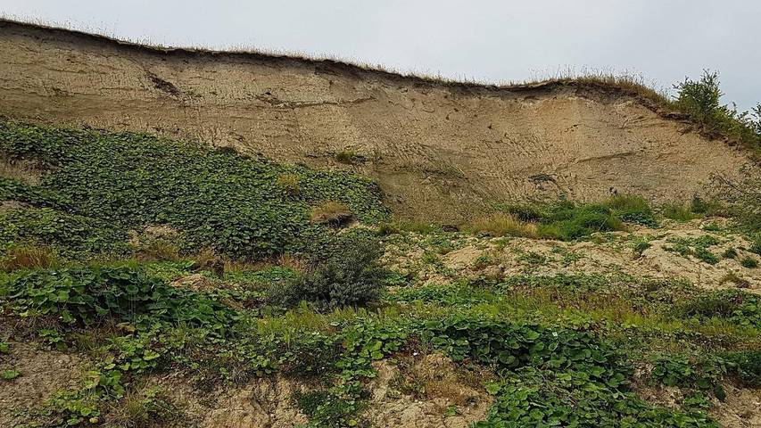 Ferienhaus für 6 Personen, mit Terrasse, mit Haustier in Eskov Strandpark - 4