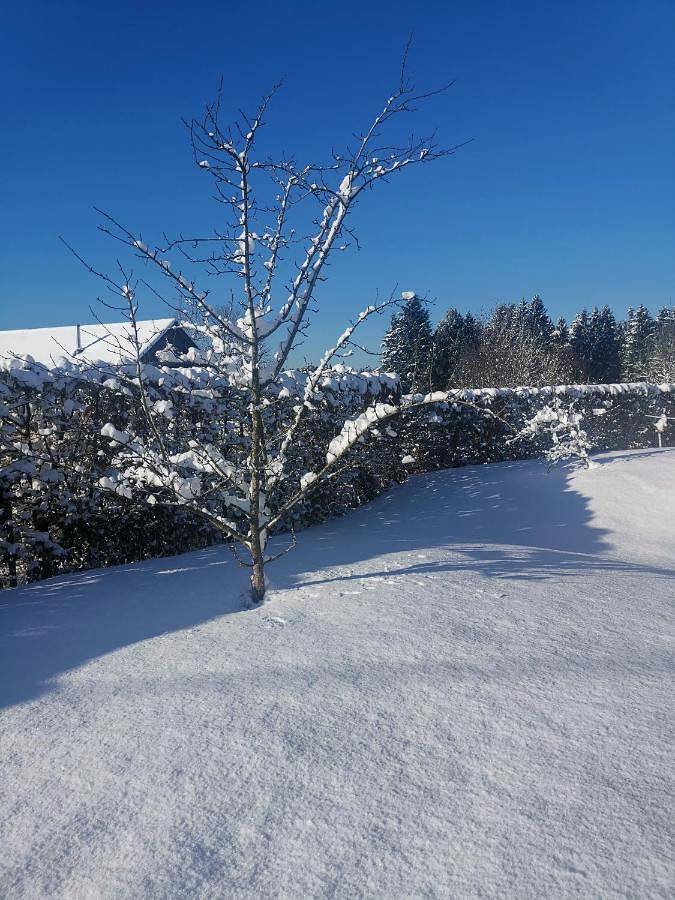 Maison d’hôte pour 4 personnes, avec Terrasse et Vue à Malmedy - 2