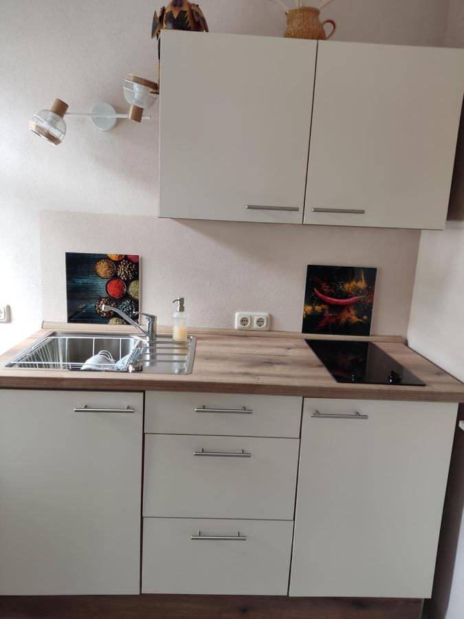 Ganze Wohnung, One-Bedroom Apartment with River View in Schmilka, Bad Schandau