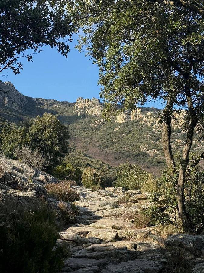 Gîte pour 2 personnes, avec terrasse à Le Poujol-sur-Orb - 2