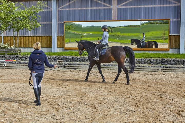 Bauernhof für 4 Personen, mit Pool und Garten, mit Haustier in Baden-Württemberg - 4