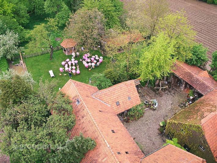 Ferienhaus für 25 Personen, mit Balkon/Terrasse und Terrasse in Horst aan de Maas - 2