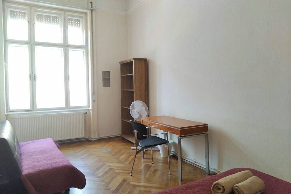 Ganze Wohnung, Spacious 4-Bedroom Flat in  City Center in Budapest, Danube-Ipoly National Park
