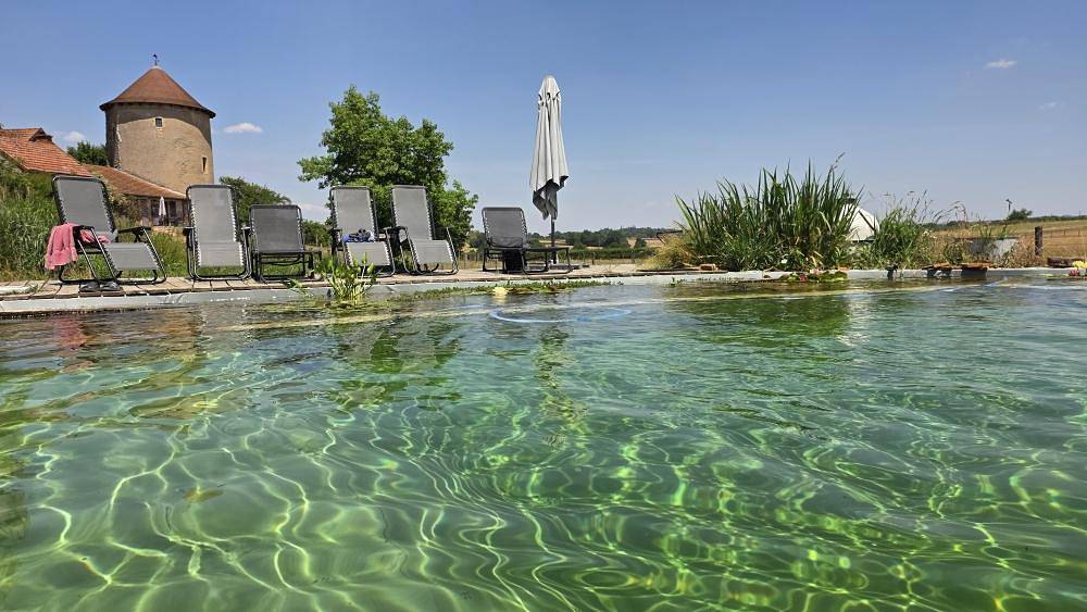 Les Grenouilles in Saint-Aubin-en-Charollais, Région de Charolles
