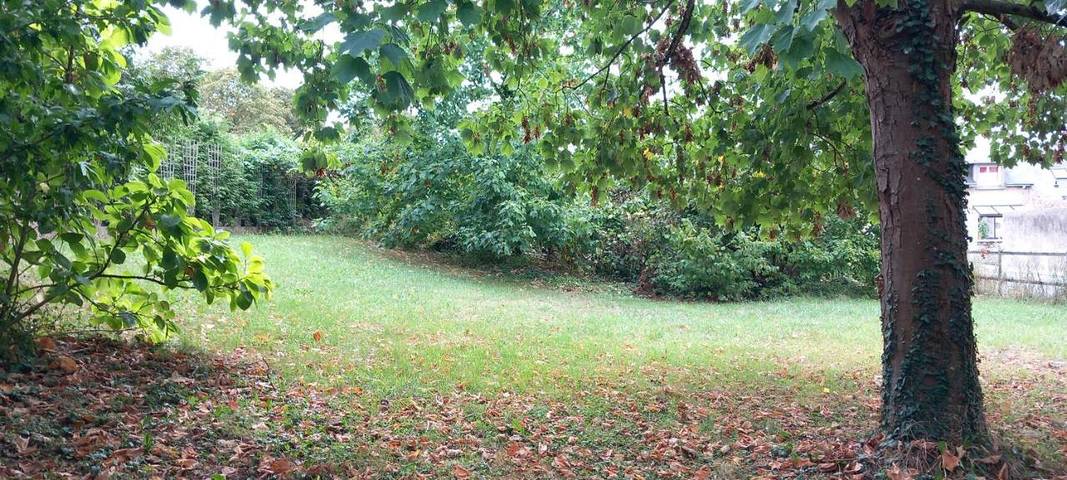 Location de vacances pour 5 personnes, avec vue ainsi que terrasse et jardin à Cour-sur-Loire - 2