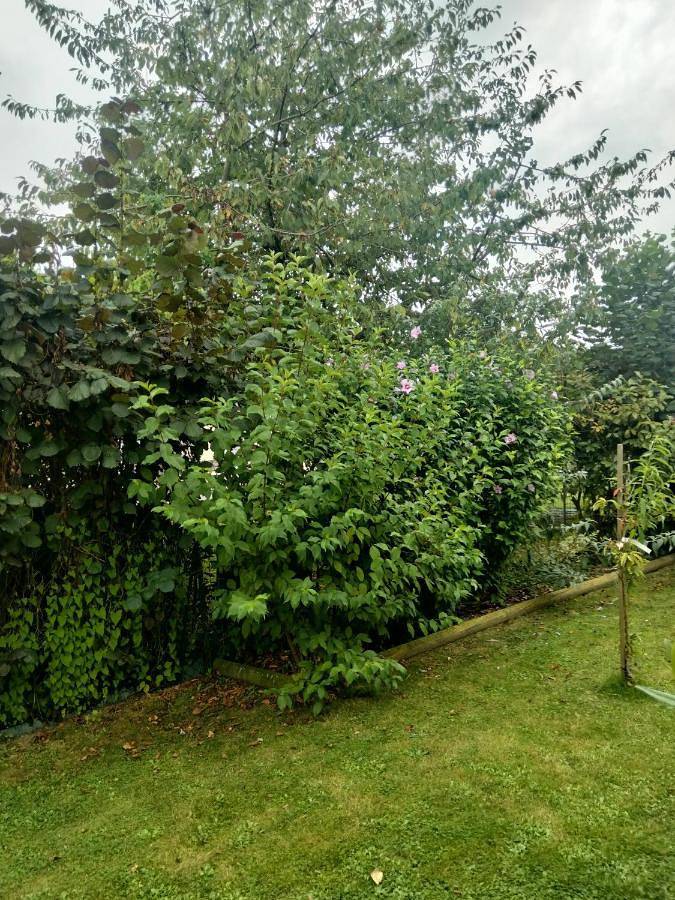 Gîte pour 8 personnes, avec vue et jardin à Teloché - 2