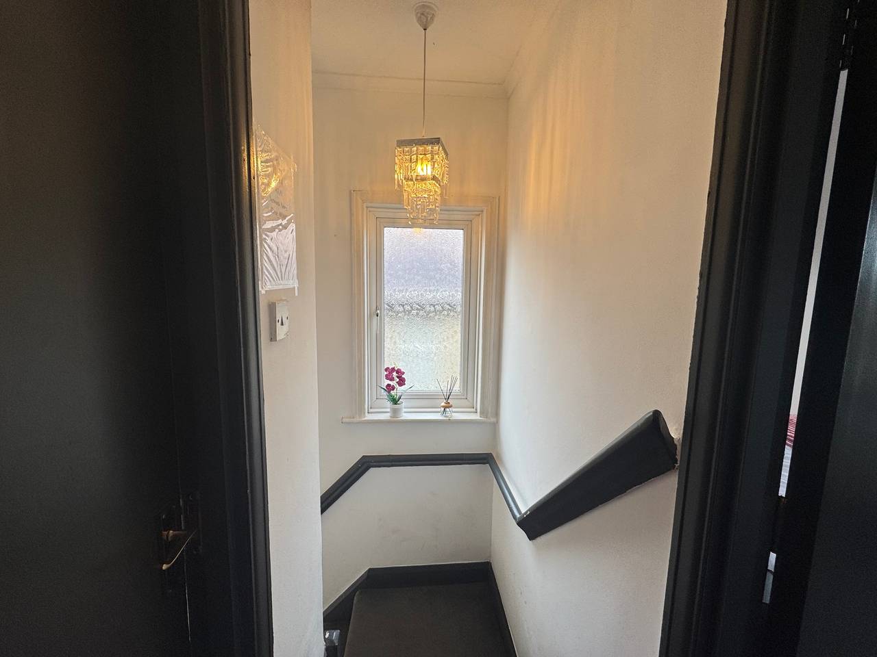 Daisy Haven in Southampton in Southampton, Südostengland