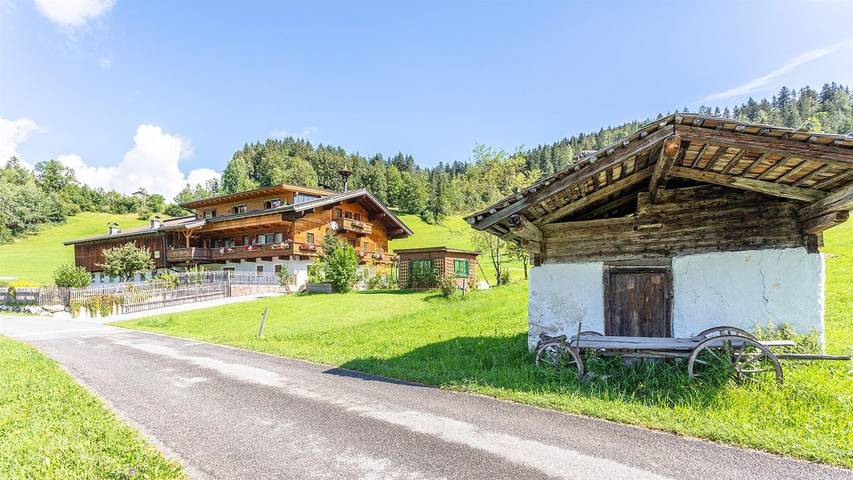 Ferienwohnung für 6 Personen, mit Sauna und Garten sowie Balkon in Lofer - 2