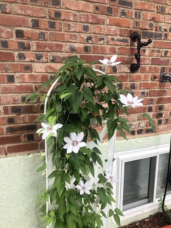 Palmer Park Oasis in Central Part of Colorado Spring. Private Hot Tub! in Colorado Springs, El Paso County (CO)