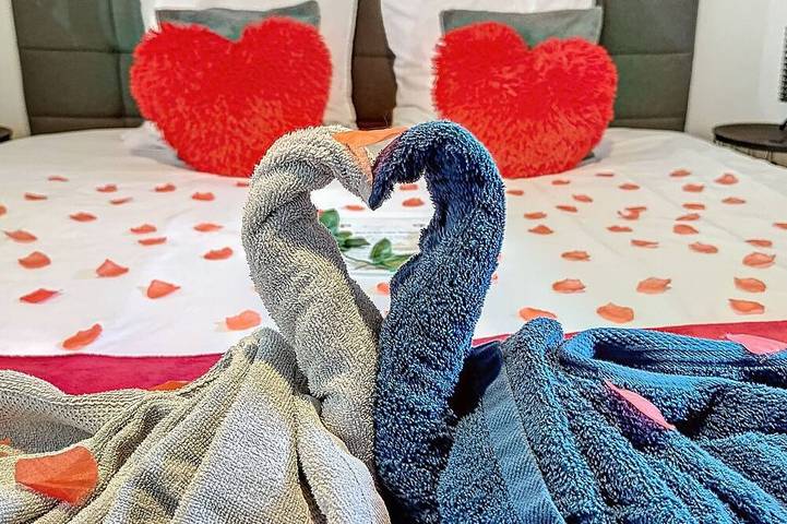 Entire apartment, Romantic loft with private Jacuzzi in Saint-Étienne, Pilat Regional Nature Park