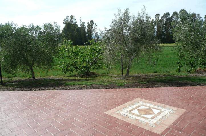 Villa pour 2 personnes, avec jardin et terrasse, animaux acceptés à Grosseto - 2