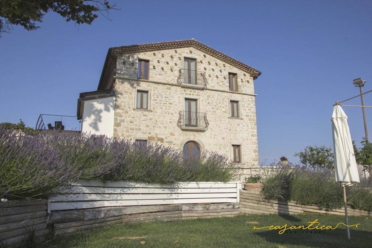 Casantica agriresort -Suites & Casa sull'albero in Circello, Provincia di Benevento