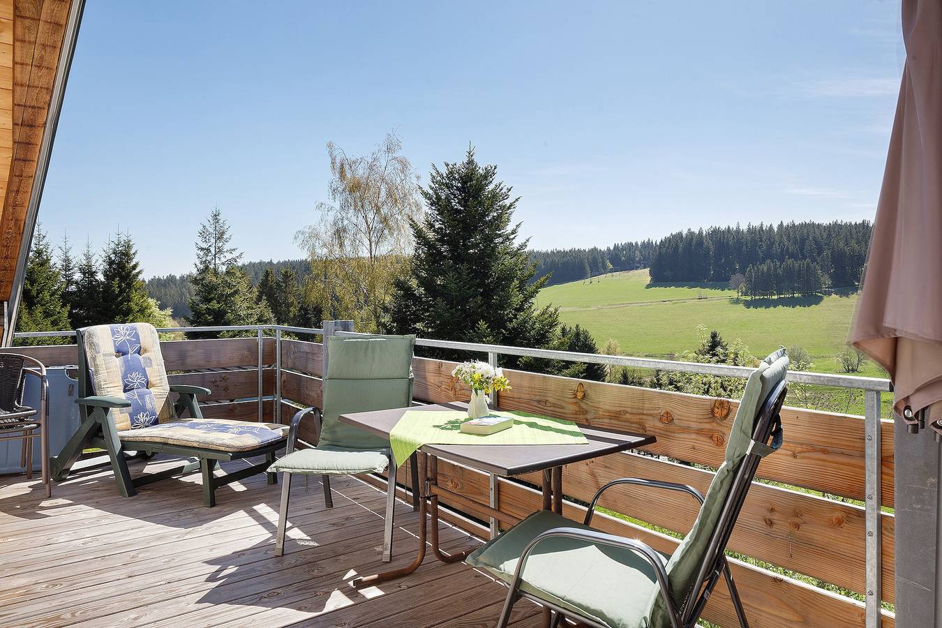 Ganze Wohnung, Helles Apartment Belchen auf dem Bauernhof mit eigenem Südbalkon und Ausblick ins Grüne in Schönwald, Südschwarzwald