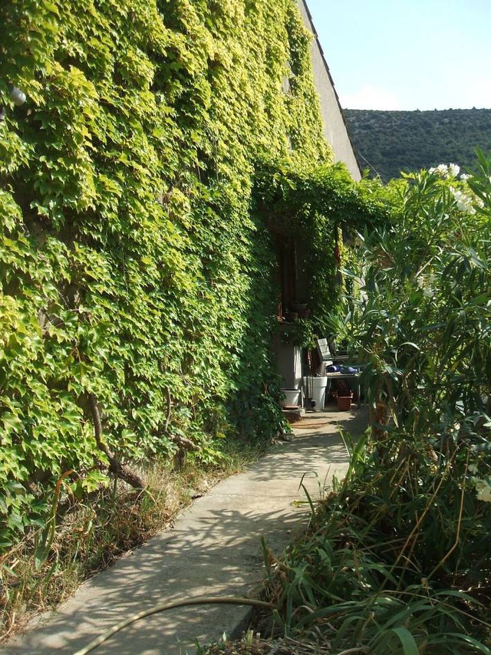 Appartement de vacances pour 3 personnes, avec balcon dans l' Aude - 3