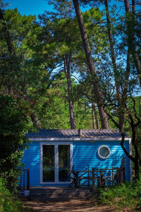 Location de vacances pour 6 personnes, avec piscine ainsi que bassin pour enfant et terrasse, animaux acceptés à Remoulins - 4