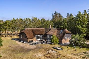 Ferienhaus für 8 Personen, mit Sauna und Terrasse sowie Whirlpool, mit Haustier in Blavand